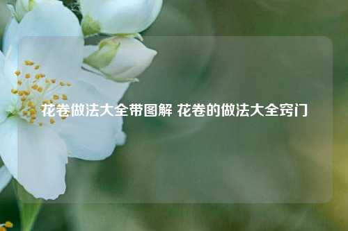 花卷做法大全带图解 花卷的做法大全窍门