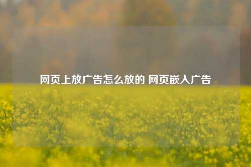 网页上放广告怎么放的 网页嵌入广告