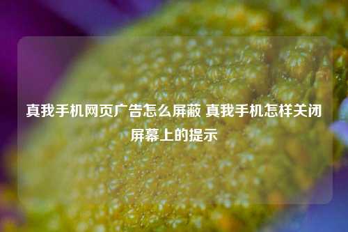 真我手机网页广告怎么屏蔽 真我手机怎样关闭屏幕上的提示