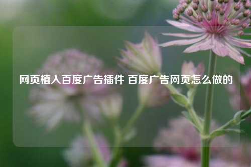 网页植入百度广告插件 百度广告网页怎么做的