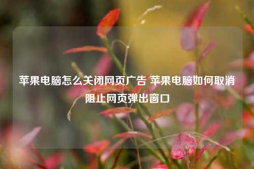 苹果电脑怎么关闭网页广告 苹果电脑如何取消阻止网页弹出窗口