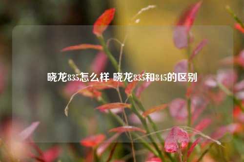 晓龙835怎么样 晓龙835和845的区别